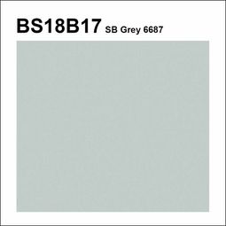 BS18B17 SB6687 Grey Pre-Mixed Brush Topcoat/Flowcoat