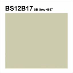 Topcoat / Flowcoat BS12B117 SB6657 Grey